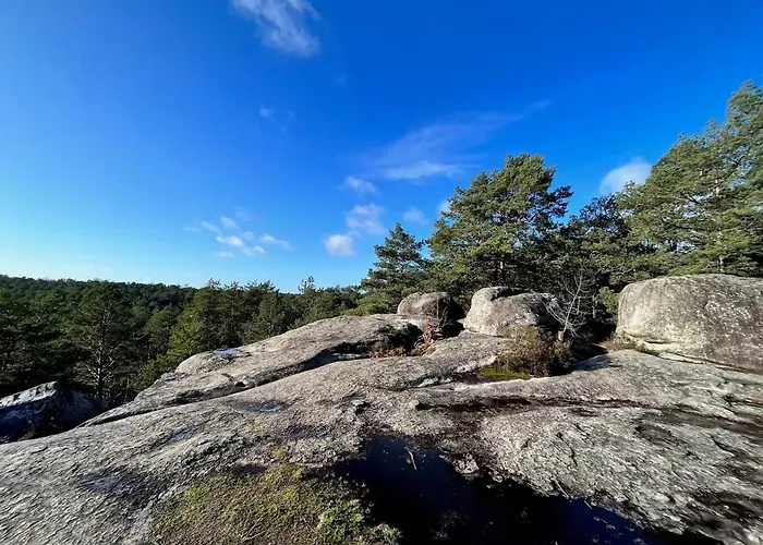 Le Repaire De Апартаменты Барбизон